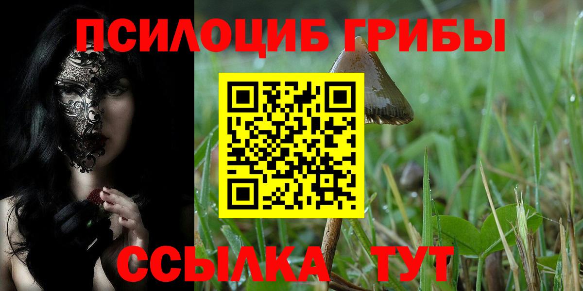 Галлюциногенные грибы прущие грибы Великий Новгород