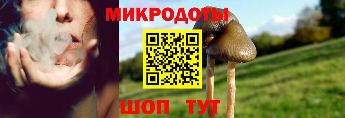 Галлюциногенные грибы MAGIC MUSHROOMS  Галлюциногенные грибы мицелий  Вход с VPN  Великий Новгород 
